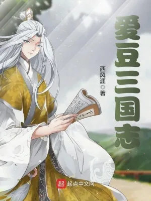 《爱豆三国志》小说封面