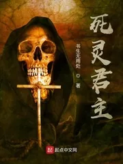 《死灵君主》小说封面