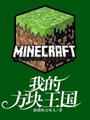 《我的方块王国》小说封面