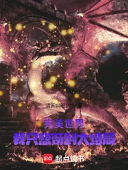 《完美世界：吾乃世界之主》小说封面