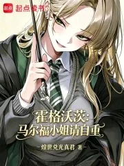 《霍格沃茨：马尔福小姐请自重》小说封面