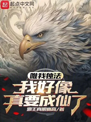 《唯我独法：我好像真要成仙了》小说封面