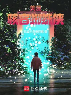 《美漫：骇客蜘蛛侠》小说封面