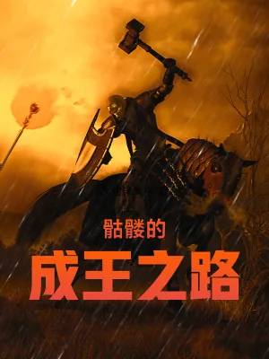 《骷髅的成王之路》小说封面