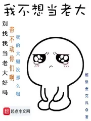 《我不想当老大》小说封面