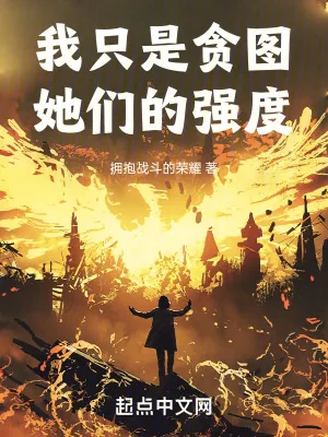 《我只是贪图她们的强度》小说封面
