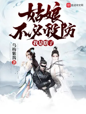 《姑娘不必设防，我是瞎子》小说封面