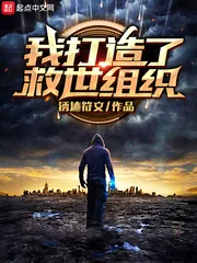 《我打造了救世组织》小说封面