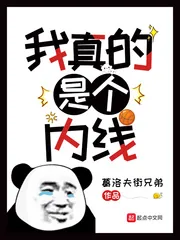 《我真的是个内线》小说封面
