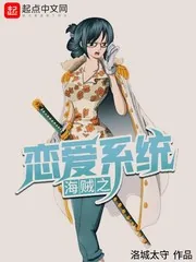 《海贼之恋爱系统》小说封面