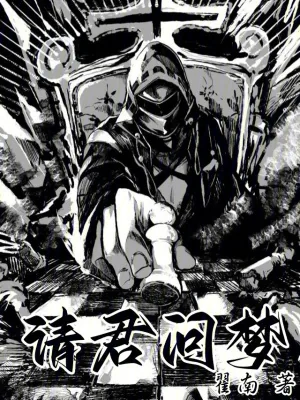 《请君问梦》小说封面