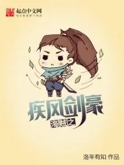 《海贼之疾风剑豪》小说封面