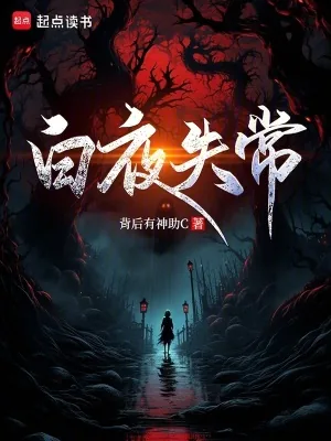 《白夜失常》小说封面