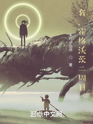《我，霍格沃茨二周目》小说封面