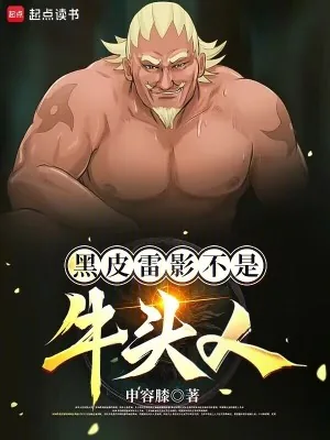 《黑皮雷影不是牛头人》小说封面