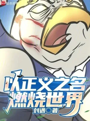 《以正义之名，燃烧世界》小说封面