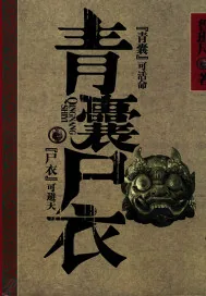 《青囊尸衣.》小说封面