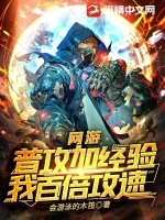 《网游：普攻加经验，我百倍攻速》小说封面
