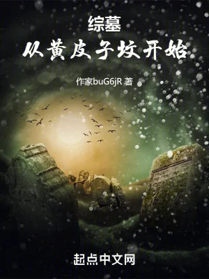 《综墓：从黄皮子坟开始》小说封面