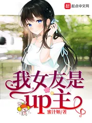《我女友是up主》小说封面