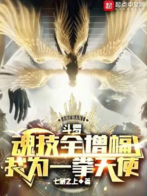《斗罗：魂技全增幅，我为一拳天使》小说封面