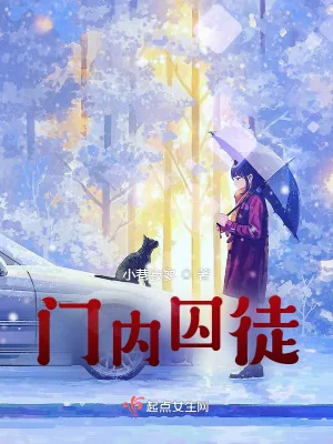 《门内囚徒》小说封面
