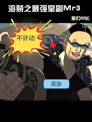 《海贼之最强皇副Mr3》小说封面