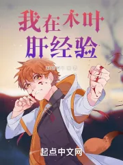 《我在木叶肝经验》小说封面