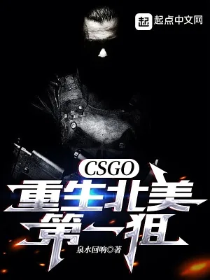《CSGO：重生北美第一狙》小说封面