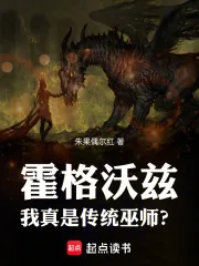 《霍格沃兹：我真是传统巫师？》小说封面