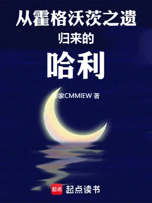 《从霍格沃茨之遗归来的哈利》小说封面