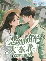 《恶姐随军大东北，开局扇醒三炮灰》小说封面