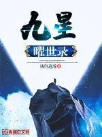 《九星曜世录》小说封面
