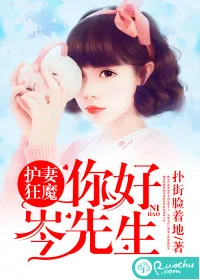 《护妻狂魔：你好，岑先生！》小说封面