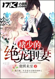 《褚少的绝宠前妻》小说封面