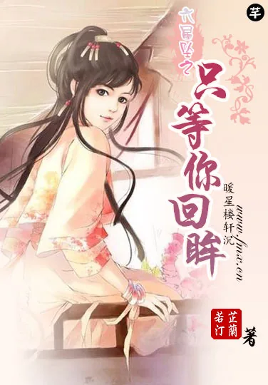 《只等你回眸》小说封面