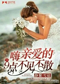 《嗨，亲爱的9点不见不散》小说封面