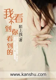 《我看不到你看到的》小说封面