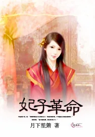 《妃子革命》小说封面