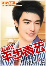 《官道之平步青云》小说封面