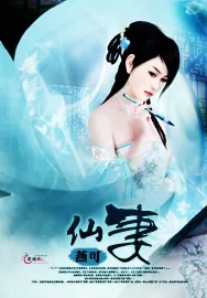 《仙妻》小说封面