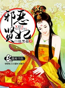 《邪恶贤妃》小说封面