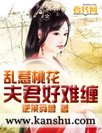 《乱惹桃花：夫君好难缠》小说封面