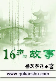 《十六岁的故事》小说封面