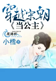 《穿越宋朝当公主》小说封面