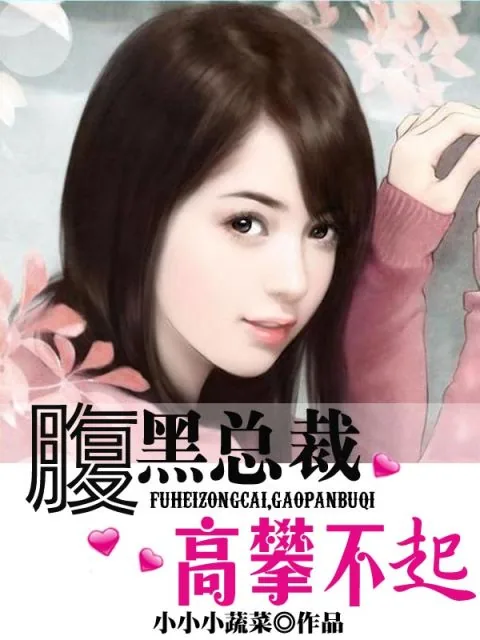 《腹黑总裁，高攀不起》小说封面