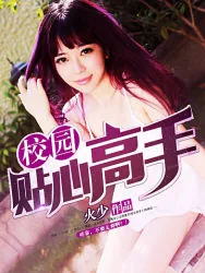 《校园贴心高手》小说封面