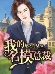 《我的名模总裁》小说封面