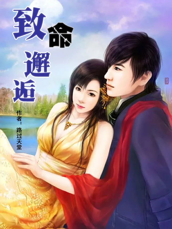 《致命邂逅》小说封面