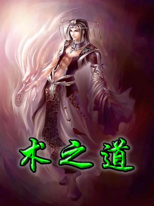 《术之道》小说封面